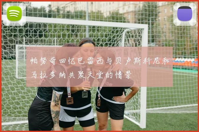 帕努奇回忆巴雷西与贝卢斯科尼和马拉多纳共聚天堂的情景
